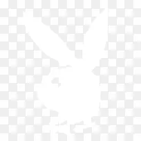 有机食品早餐全食品市场冰沙-玩伴-空若网 有机食品早餐全食品市场冰沙-玩伴-空若网