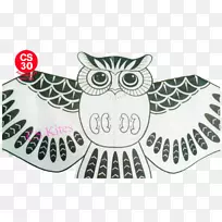 潍坊国际风筝节工艺纸潍坊丰正昌-创意风筝-空若网 潍坊国际风筝节工艺纸潍坊丰正昌-创意风筝-空若网