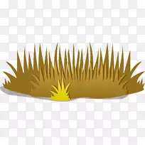 摄影剪贴画.阳光效果-空若网 摄影剪贴画.阳光效果-空若网