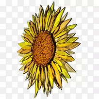 ÈÛÈÚ²£Á§ÆÕͨÏòÈÕ¿û²£Á§Èۺϲ£Á§ÒÕÊõ»¬Âä.Ïļ¾Í¼°¸-¿ÕÈôÍø ÈÛÈÚ²£Á§ÆÕͨÏòÈÕ¿û²£Á§Èۺϲ£Á§ÒÕÊõ»¬Âä.Ïļ¾Í¼°¸-¿ÕÈôÍø