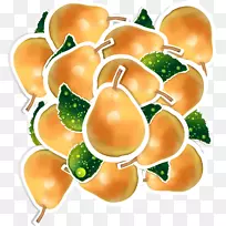 雪梨-雪梨-空若网 雪梨-雪梨-空若网