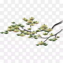 纸隔墙粘胶餐厅-松木-空若网 纸隔墙粘胶餐厅-松木-空若网