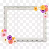 切花,花瓣画框,开花植物.纪念-空若网 切花,花瓣画框,开花植物.纪念-空若网