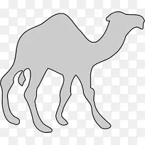 动物,野生动物,-凉爽的悬崖-空若网 动物,野生动物,-凉爽的悬崖-空若网