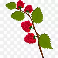 �����Ӳ�ݮ����⨺���-������