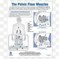 技术材料-海报地板-空若网 技术材料-海报地板-空若网