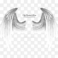 天使翼白翼-空若网 天使翼白翼-空若网