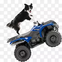 汽车全地形车辆股四头肌起搏器机动车辆-合资企业-空若网 汽车全地形车辆股四头肌起搏器机动车辆-合资企业-空若网