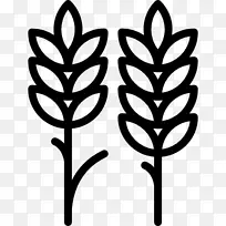 计算机图标小麦对称-空若网 计算机图标小麦对称-空若网