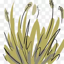 ֲ�ﾥ����ֲ������ֲ��-������