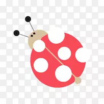 昆虫图-昆虫-空若网 昆虫图-昆虫-空若网