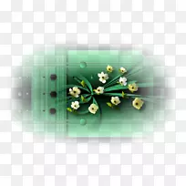 �����ֽ�������嶫������-������