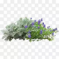 »¨Ðλ¨Ô°-¿ÕÈôÍø »¨Ðλ¨Ô°-¿ÕÈôÍø