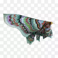 蝴蝶昆虫传粉蛾无脊椎动物手绘蝴蝶-空若网 蝴蝶昆虫传粉蛾无脊椎动物手绘蝴蝶-空若网