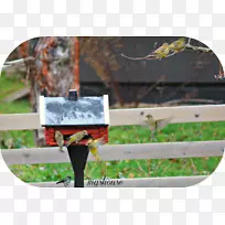 树桩屋-空若网 树桩屋-空若网