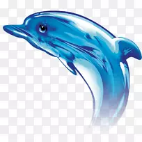 ��ͨ���Ǻ���ͼ��Ϫ����-������