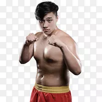 荣誉拳击手套跆拳道普拉达尔塞雷罗-空若网 荣誉拳击手套跆拳道普拉达尔塞雷罗-空若网