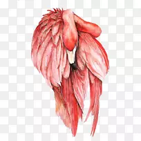 ������ˮ�ʻ��ֻ������-������