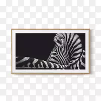 4k�ֱ��ʳ��������ȵ������ܵ��ӱ���lcd-wen��֡-������