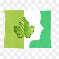 ë������������ֽ����Ҷ����Ҷ-������