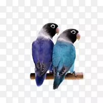 ����ڵİ���õ��ɫ�İ������ģ�����-����-������