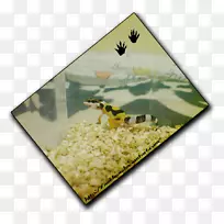 昆虫传粉动物轨迹膜-空若网 昆虫传粉动物轨迹膜-空若网