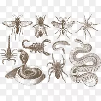 À¥³æ¶¯ÎïŷʽÉß-Éß-¿ÕÈôÍø À¥³æ¶¯ÎïŷʽÉß-Éß-¿ÕÈôÍø