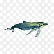 ͼ¿âϪÍÕ±³¾¨Ë®²Ê»Ë®²Ê¾¨-¿ÕÈôÍø ͼ¿âϪÍÕ±³¾¨Ë®²Ê»Ë®²Ê¾¨-¿ÕÈôÍø