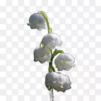 9�·ݿ���ֲ��-����27 0 1-������