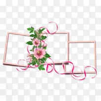 Youtube LiveInternet博客-排名框架-空若网 Youtube LiveInternet博客-排名框架-空若网