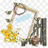 电子邮件猫下载宠物黄蝴蝶面具-空若网 电子邮件猫下载宠物黄蝴蝶面具-空若网