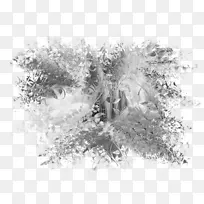 单色摄影树形摄影.蝴蝶化妆面具-空若网 单色摄影树形摄影.蝴蝶化妆面具-空若网