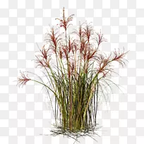 草秸秆材料-空若网 草秸秆材料-空若网