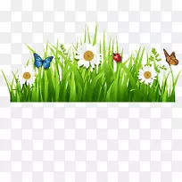 画框剪贴画线-空若网 画框剪贴画线-空若网