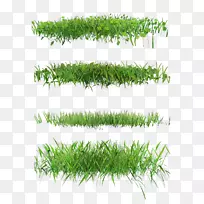 ��ƺ�����ֽ.���ɲ�-������