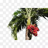 ���������ƿ���-������ϵĺ�ɫ�����-������