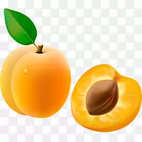 杏果夹艺术-黄杏-空若网 杏果夹艺术-黄杏-空若网