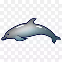 海豚图库溪短喙普通海豚普通宽吻海豚-空若网 海豚图库溪短喙普通海豚普通宽吻海豚-空若网