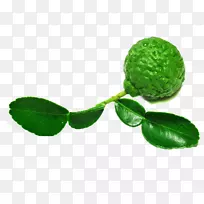 柠檬奥格里斯水果-柠檬叶上的图片材料-空若网 柠檬奥格里斯水果-柠檬叶上的图片材料-空若网
