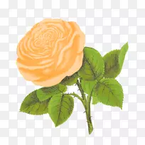 玫瑰插花艺术-桃花-空若网 玫瑰插花艺术-桃花-空若网