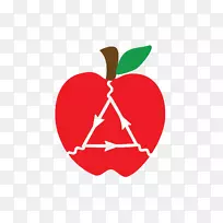 ������ѧ������-����ѧ-������