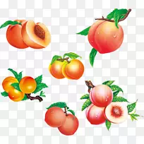 土星桃子桃-空若网 土星桃子桃-空若网