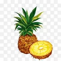 菠萝干水果有机食品剪贴画-菠萝-空若网 菠萝干水果有机食品剪贴画-菠萝-空若网