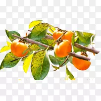 �ײ�ģ������-����-������