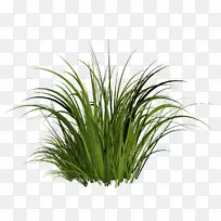 草坪剪贴画.透明材料-空若网 草坪剪贴画.透明材料-空若网