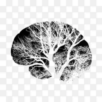 脑图夹艺术.海报背景材料-空若网 脑图夹艺术.海报背景材料-空若网