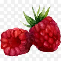 ˮ�ʻ�-������