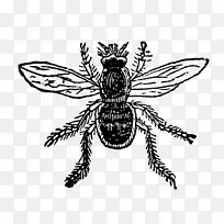 �����۷��ڷ���.�����ͼ-������