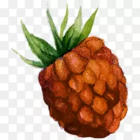 水彩画茶树花-空若网 水彩画茶树花-空若网