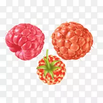 覆盆子果-空若网 覆盆子果-空若网